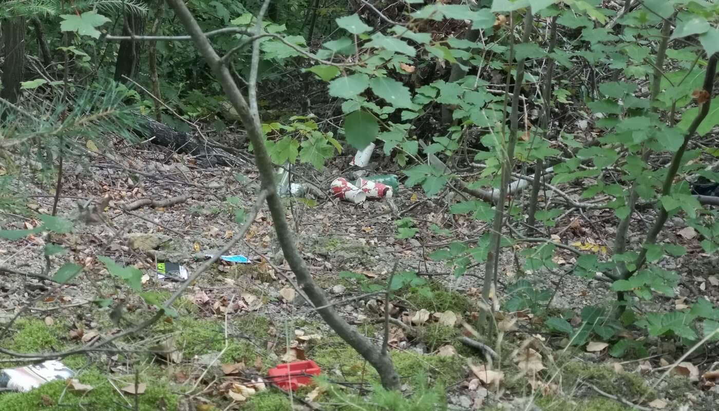 Müll im Wald
