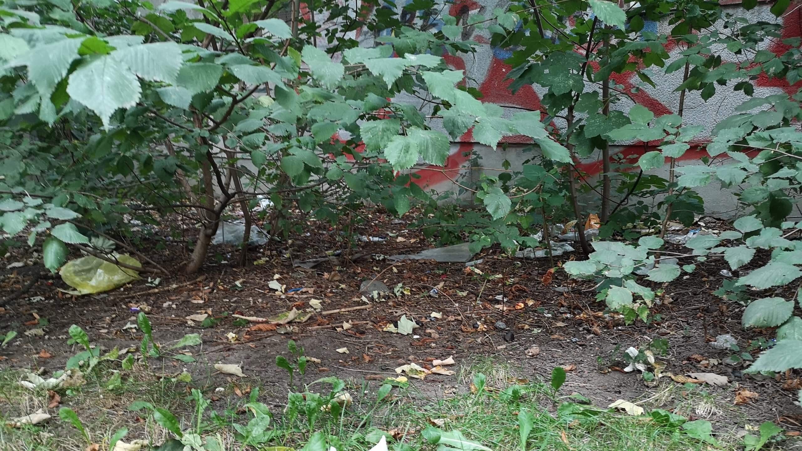 Weitere vermüllte Ecke im Lessingplatz