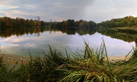 Die Schlossteichinsel