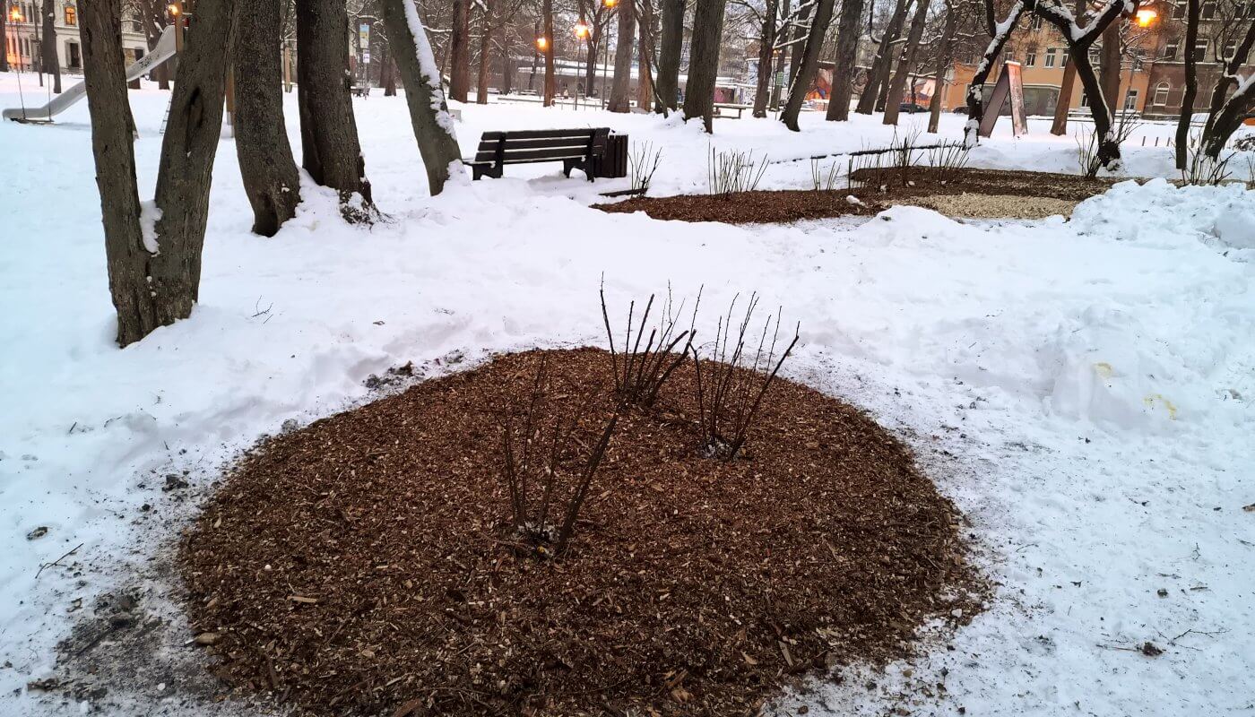 Neue Beete im Lessingplatz