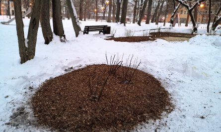 Neue Beete im Lessingplatz