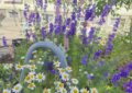 Alles voller Blüten (und Kirschen!)